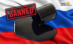 Prohibit the importation of petroleum and petroleum products from the Russia (S.3718)